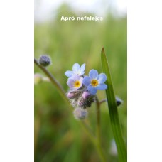 Apró nefelejcs hűtőmágnes Apró nefelejcs hűtőmágnes